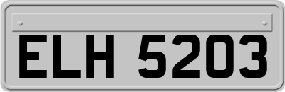 ELH5203