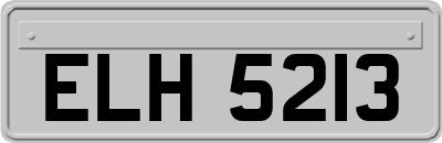 ELH5213