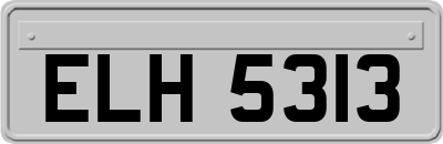 ELH5313