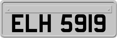 ELH5919