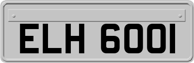 ELH6001