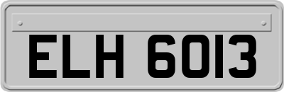 ELH6013
