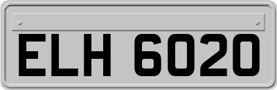 ELH6020