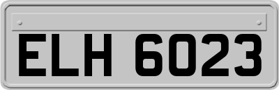ELH6023