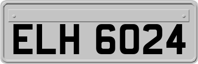 ELH6024