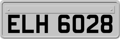 ELH6028