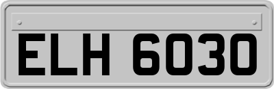 ELH6030