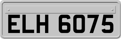 ELH6075