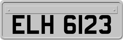 ELH6123