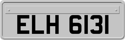 ELH6131