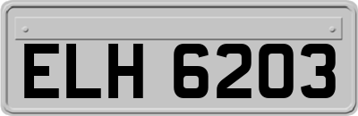 ELH6203