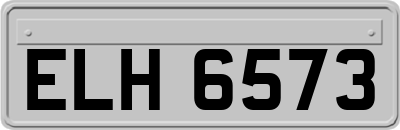 ELH6573