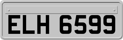 ELH6599
