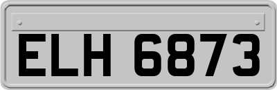 ELH6873