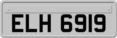 ELH6919