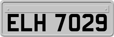ELH7029