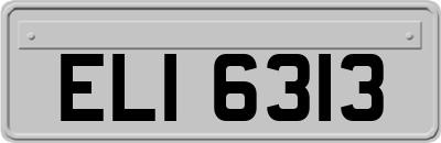 ELI6313