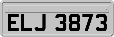 ELJ3873
