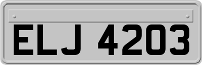 ELJ4203