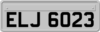 ELJ6023