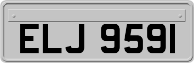 ELJ9591