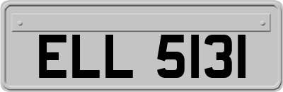 ELL5131