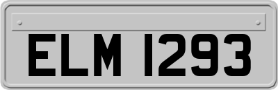 ELM1293