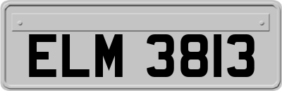 ELM3813