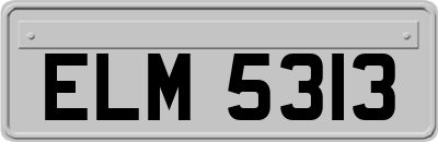 ELM5313