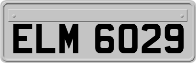 ELM6029