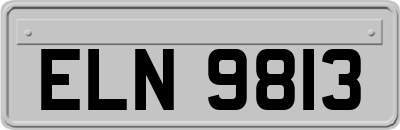 ELN9813