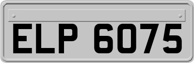 ELP6075