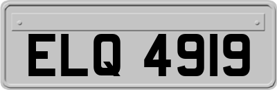 ELQ4919