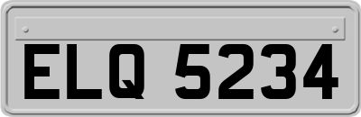 ELQ5234