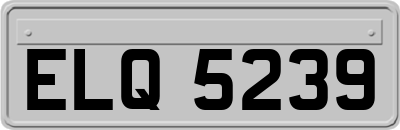 ELQ5239