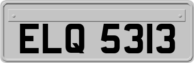 ELQ5313