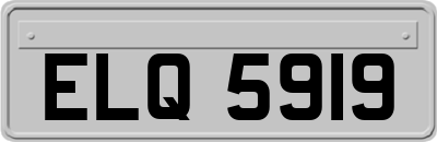 ELQ5919