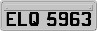 ELQ5963