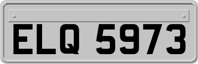 ELQ5973
