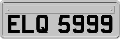 ELQ5999