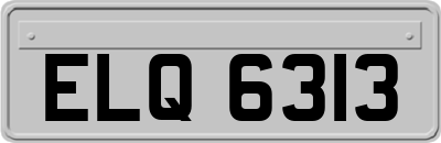 ELQ6313