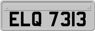 ELQ7313