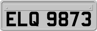 ELQ9873