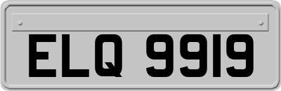 ELQ9919