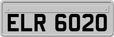 ELR6020