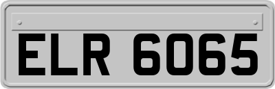 ELR6065