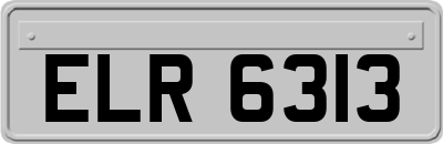ELR6313