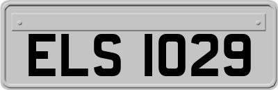 ELS1029
