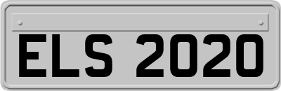 ELS2020