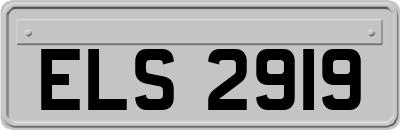 ELS2919